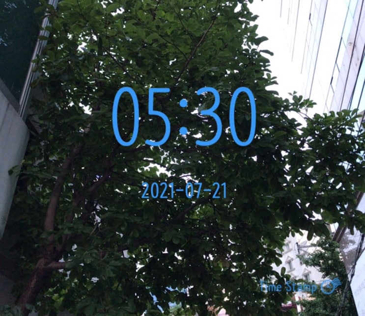  다시, 알찬하루 만들기 ~  (59일차)
