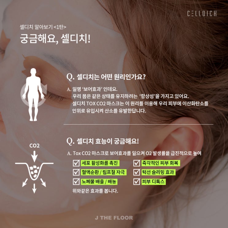  ️단 1회 후기 ️ 셀디치 co2키트! 핫딜 ing ️