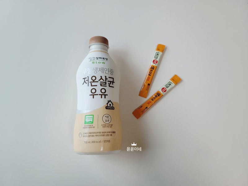 락토핏 유산균으로 요거트 만들기 가능할까??