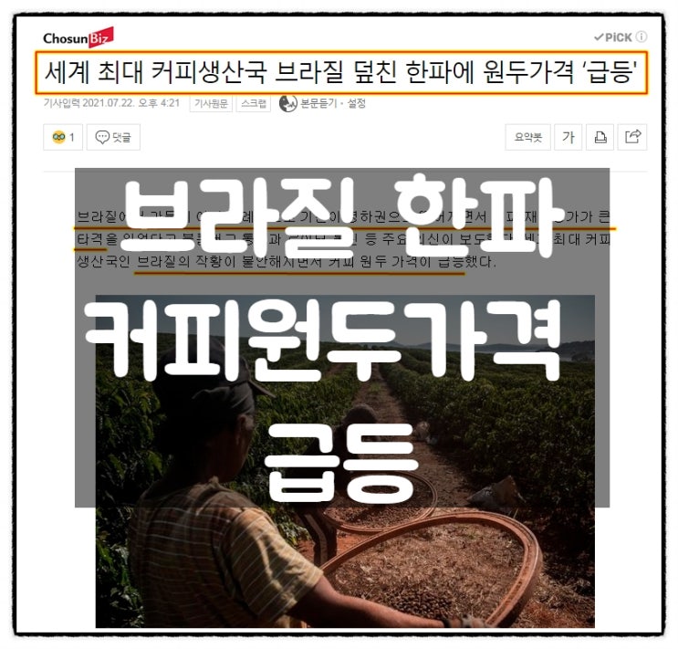 들려온다...커피가격 오르는 소리가 들려온다... 들려온다...커피가격 오르는 소리가 들려온다...