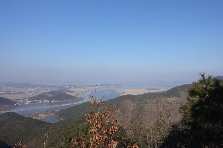  소화불량 위산과다 위궤양 공통점과 차이점