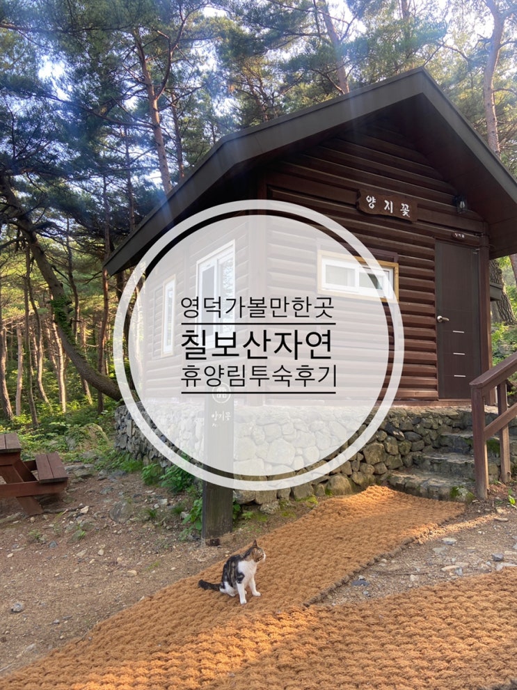  후포항 가기 전 묵은 영덕 가볼만한 곳 칠보산 자연휴양림 투숙 후기