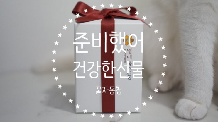  열매품은청 꿀자몽청으로 상큼하고 달콤하게 여름나기! 간단한선물로 추천!