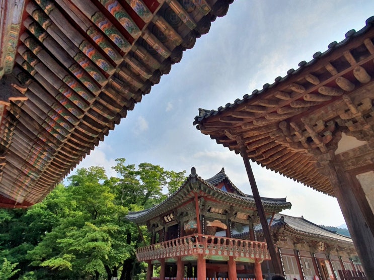  [경남양산] 여름, 물과 자연이 함께하는 세계문화유산 통도사