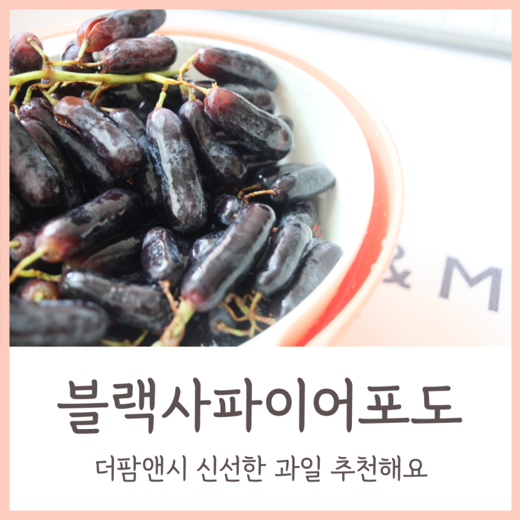  지금은 포도 제철! 더팜앤씨 씨없는 포도 블랙사파이어 포도 먹어봤어요