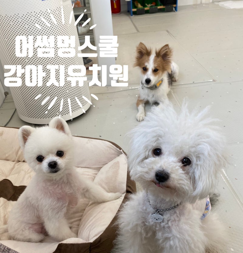 사진 7