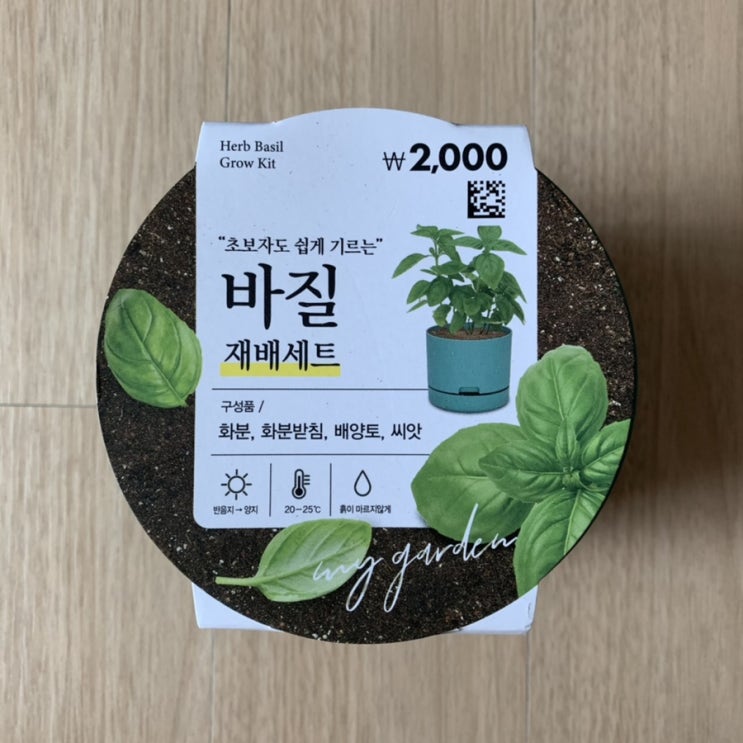  홈가드닝 다이소 바질 키우기