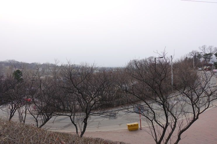  가슴 두근거림 불면증 함께 나타나는 경우