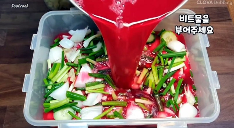 양배추 비트 물김치