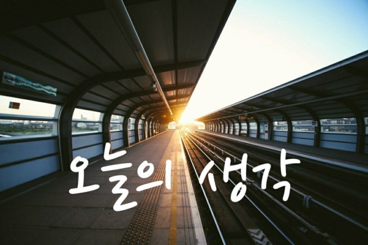 [오늘의 생각] 31