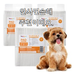  특별한 강아지패드 물건 리스트 강추!