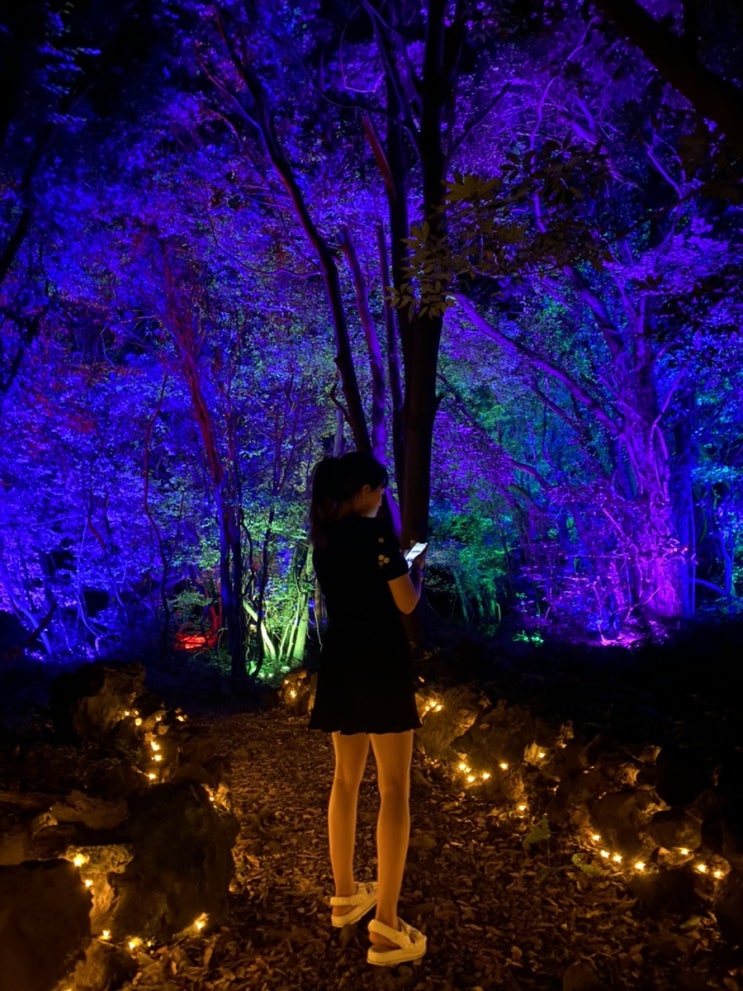 취향저격 제주가볼만한곳 제주도 야간명소 베스트 : 제주조각공원
