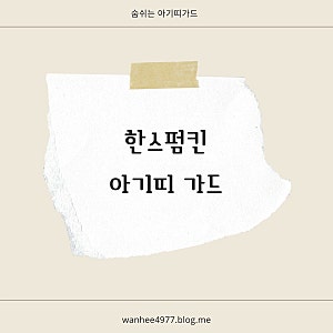 [출산선물 추천] 한스펌킨 아기띠 가드
