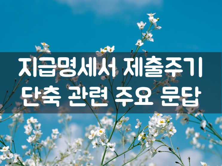  지급명세서 제출주기 단축 관련 주요 문답