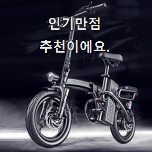  명품 접이식전기자전거 선호도 베스트 추천 한다니깐요.
