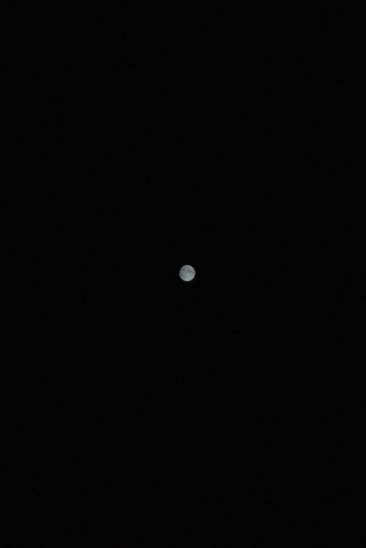  0723 보름달 한단계 전