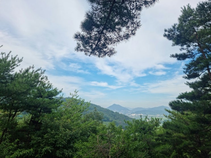  주말 계획