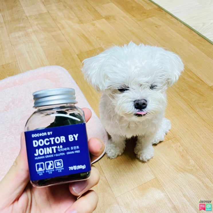  강아지관절영양제 슬개골탈구는 닥터바이조인트로 관리해요