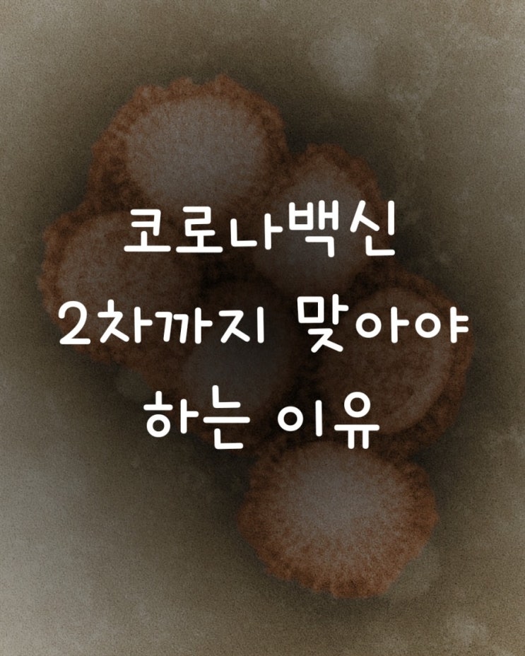 코로나백신 2차까지 맞아야 하는 이유는~?