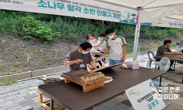 [충청미디어] ‘정이품송으로 마실가자’ 보은군 생생문화재사업 추진