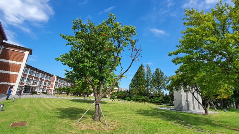 광주가톨릭대학교 평생교육원 임용기강사블로그교육 : 네이버 블로그 광주가톨릭대학교 평생교육원 임용기강사블로그교육 : 네이버 블로그