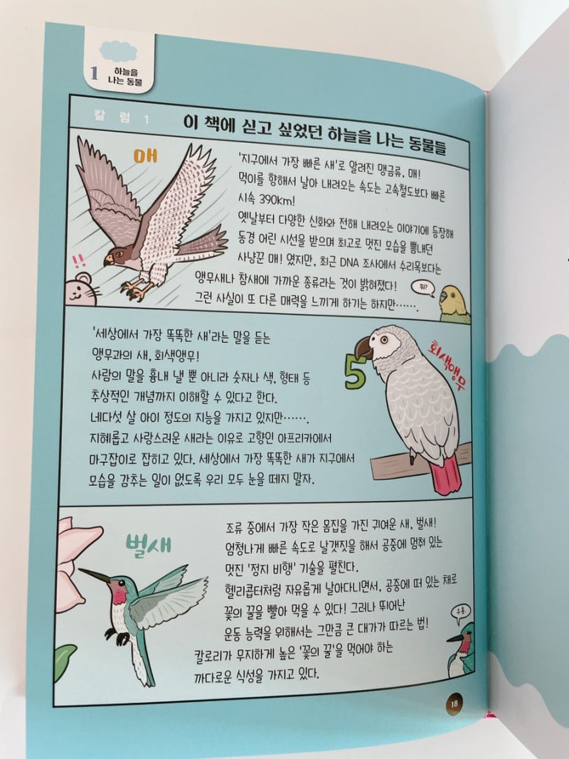 왠지 이상한 동물도감/ 빠져드는 어린이 동물도감 / 초등 동물도감 : 네이버 블로그