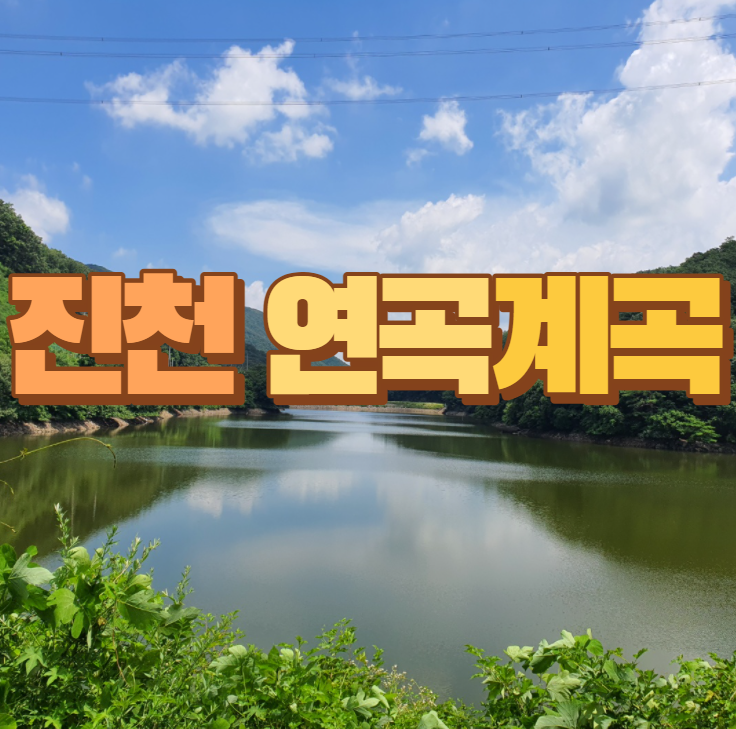  진천 연곡계곡 어린아이들이 놀기 좋은 얕은계곡!