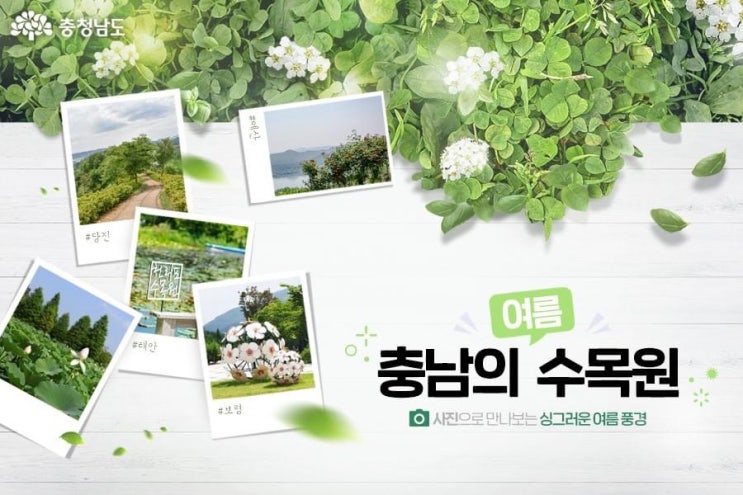 충남 가볼만한곳 충남의 여름 수목원 | 충남도청페이스북