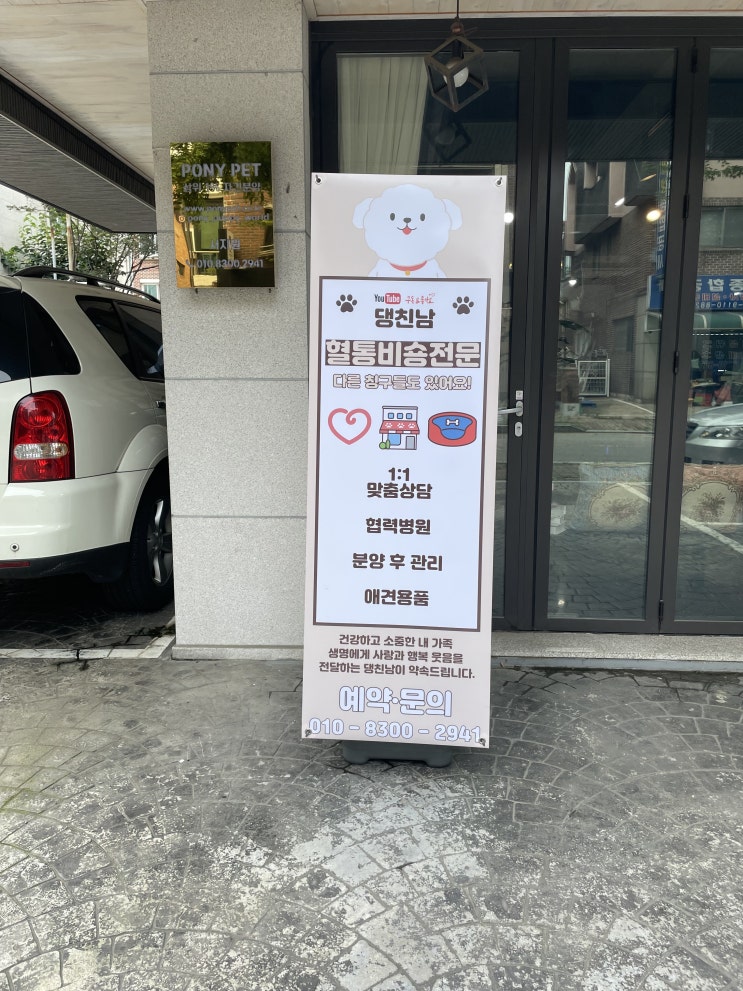  일산 강아지분양 댕친남에 매장 환경 변화 중 :)