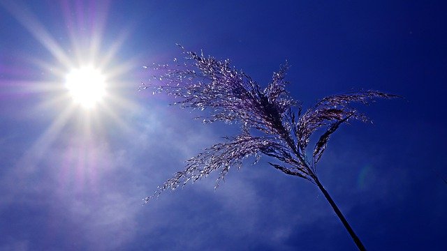 뜨거운 여름철 열사병 조심하세요