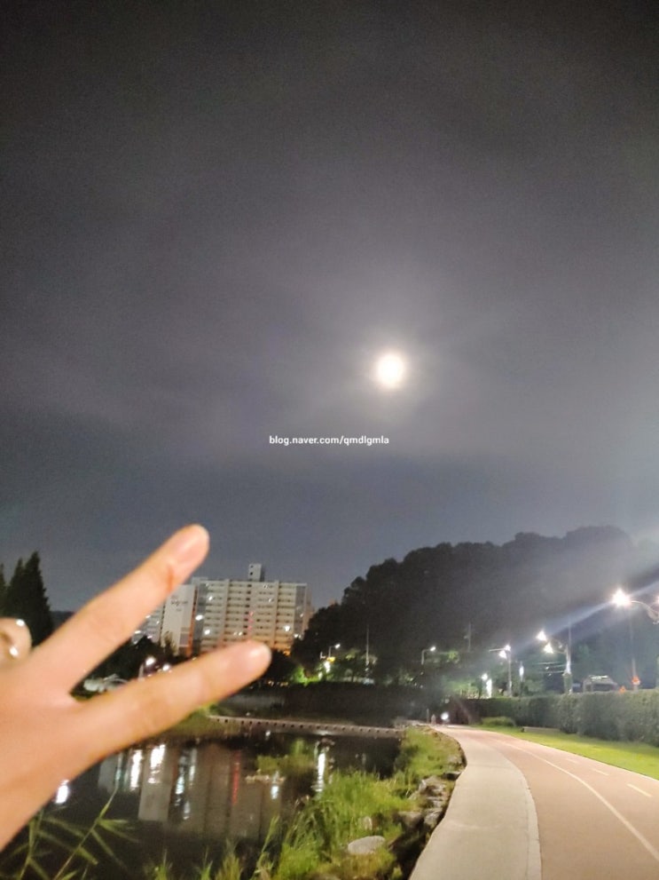  7월 23일 오늘 일기