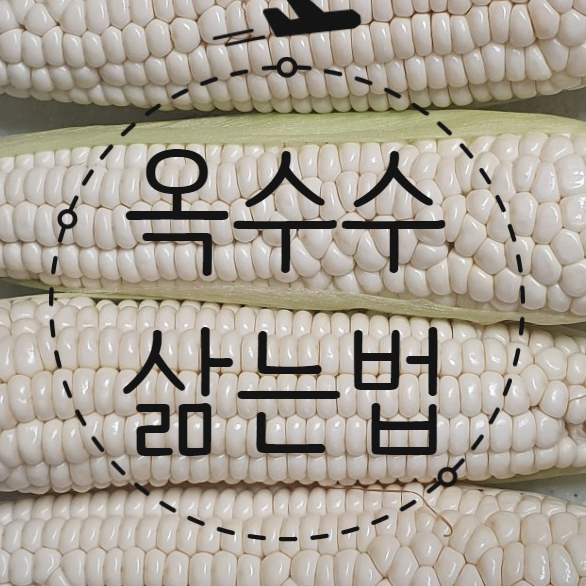 옥수수 삶는법 옥수수 찌는법 옥수수 맛있게 삶는법 옥수수 압력밥솥 옥수수 압력밥솥 삶는법  옥수수 칼로리 옥수수 고르는법 옥수수 전자레인지