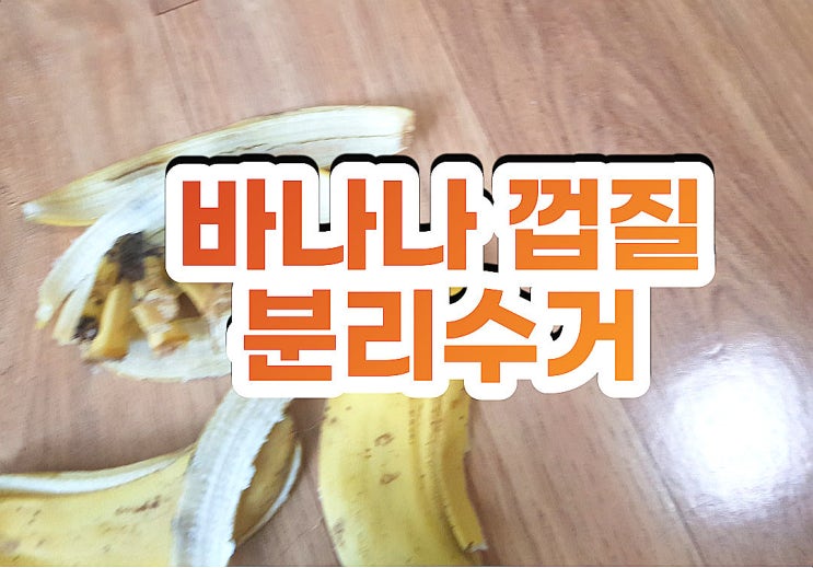 바나나껍질 분리수거 쉽고 간단하게 음식물 구분법 바나나껍질 분리수거 쉽고 간단하게 음식물 구분법