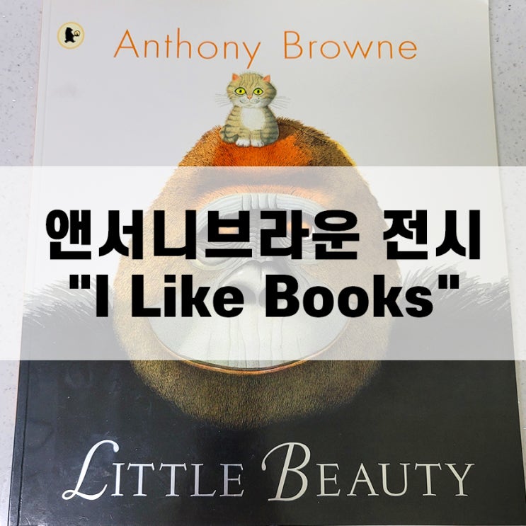  춘천 강원디자인진흥원 앤서니 브라운전 전시 안내