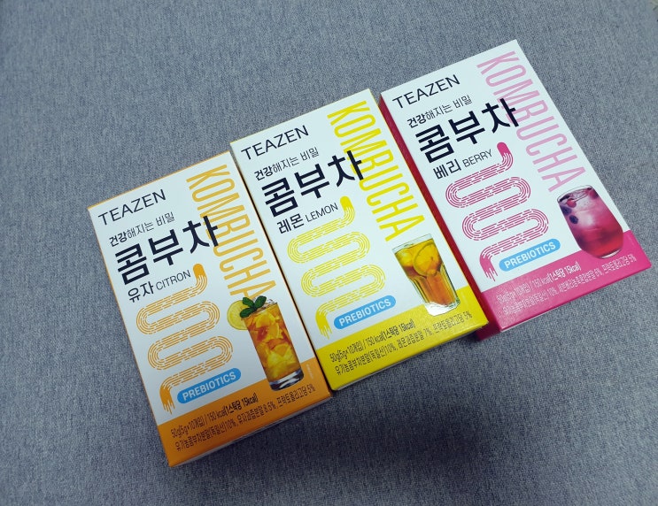  티젠 콤부차