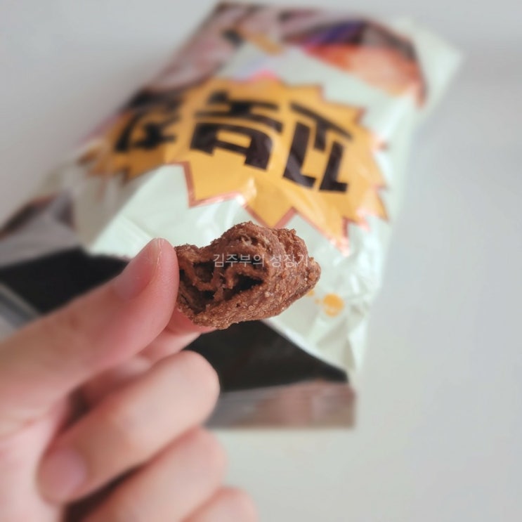  [꼬북칩 솔직 리뷰] 꼬북칩 초코츄러스맛 먹어보다..!
