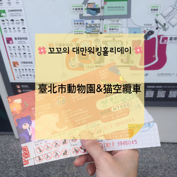  [대만워홀] 타이베이동물원&마오콩케이블카