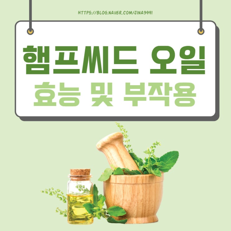  햄프씨드 오일 효능 및 부작용 알아봐요.