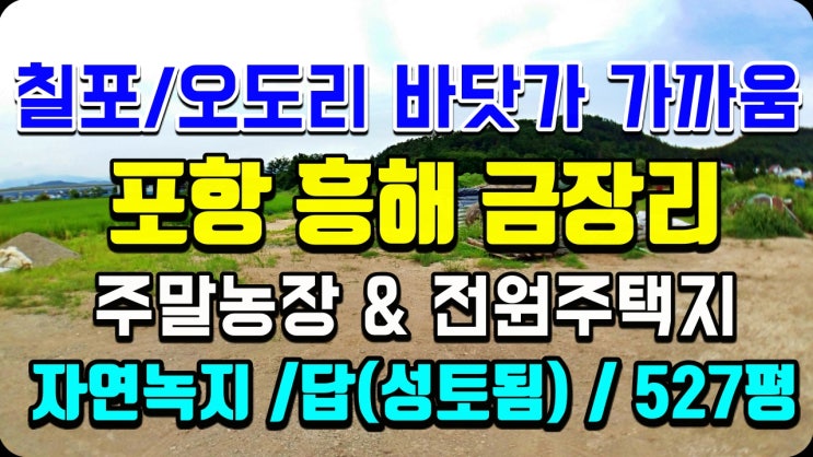 포항부동산 전원주택지 주말농장 토지매매 (시골집매매 촌집매매 전원주택매매 급매 전문 착한부동산)