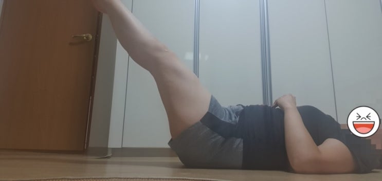  5주차 운동  레그레이즈
