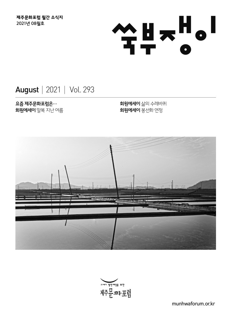  쑥부쟁이293