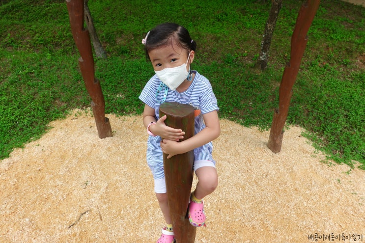  아이들의 숲속 자연놀이터 나주 산림자원연구소