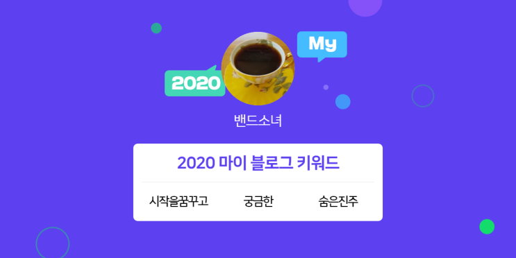 [2020 마이블로그 리포트] 한 눈에 보는 올해 내 블로그 데이터!