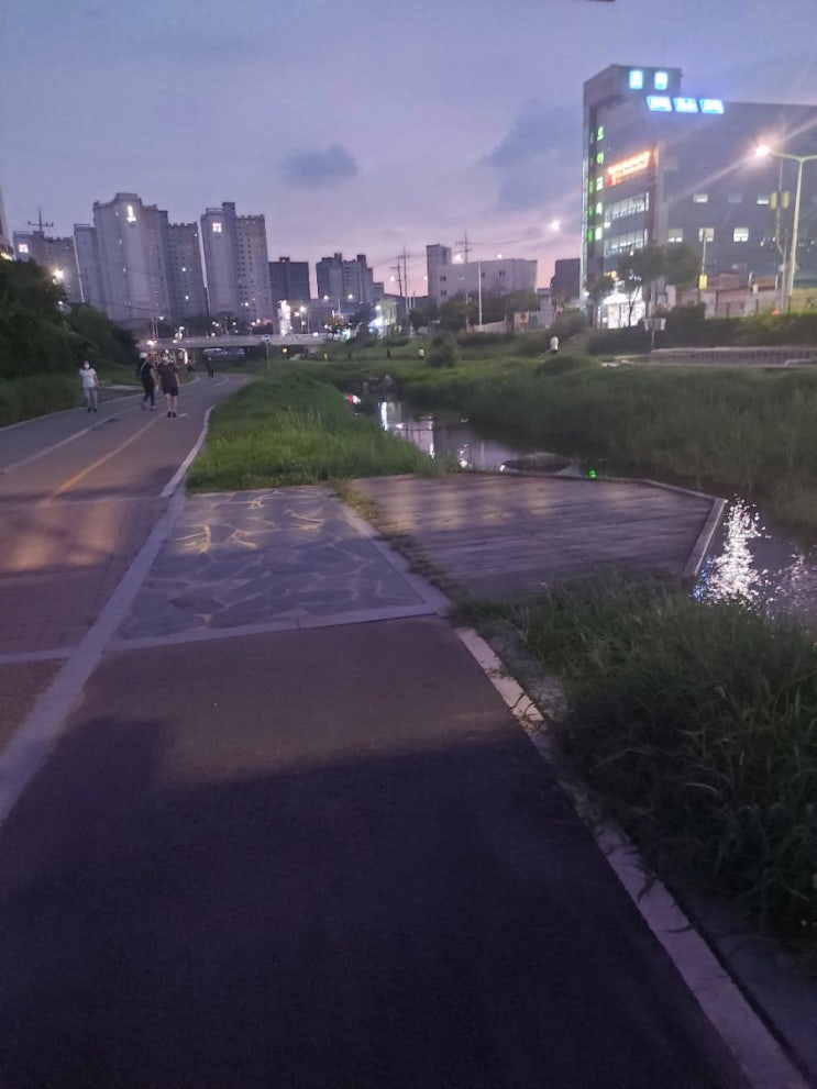  천안네일 지네일 천안지네일