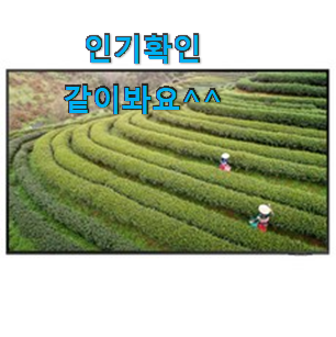 센스있는 디오스김치냉장고 베스트 인싸템 이런게 행복이에요. 센스있는 디오스김치냉장고 베스트 인싸템 이런게 행복이에요.