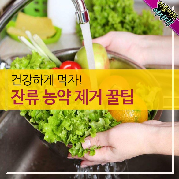  건강하게 먹자! 잔류 농약 제거 꿀팁