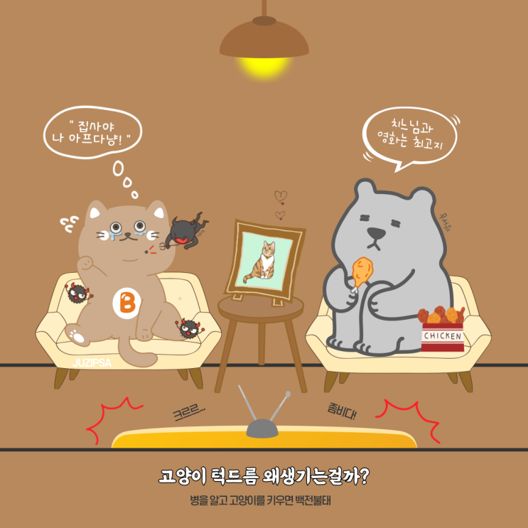  고양이 턱드름 증상과 치료방법 결국 병원까지 다녀왔어요