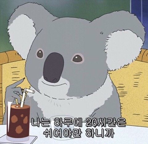 주말 계획