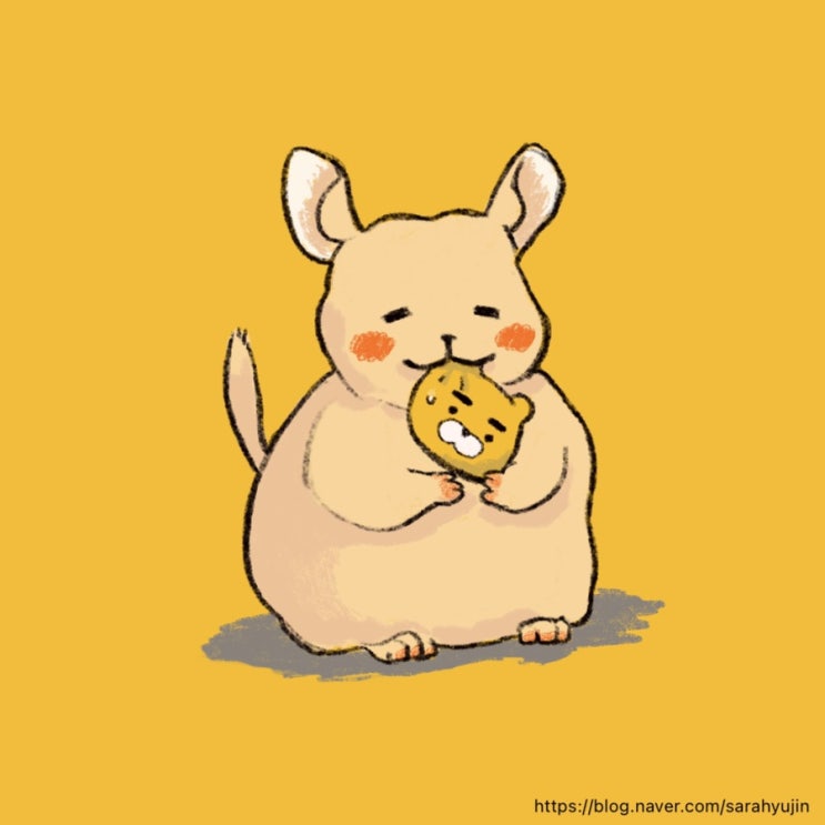  오늘의 주식 줍줍일기 (네이버가 준 용돈(애드포스트)로 카카오 줍기)