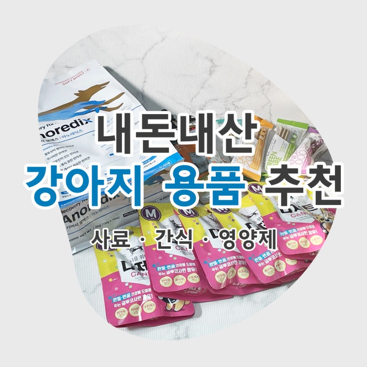  이제는 정착한 강아지 용품 리스트 (수의사 추천 강아지 사료"아노레딕스", 오메가, 유산균)